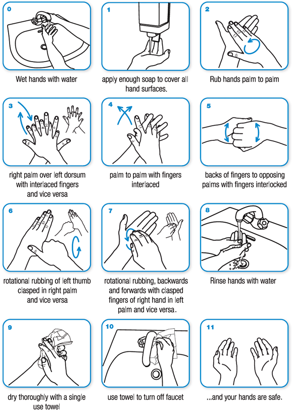 wash hands